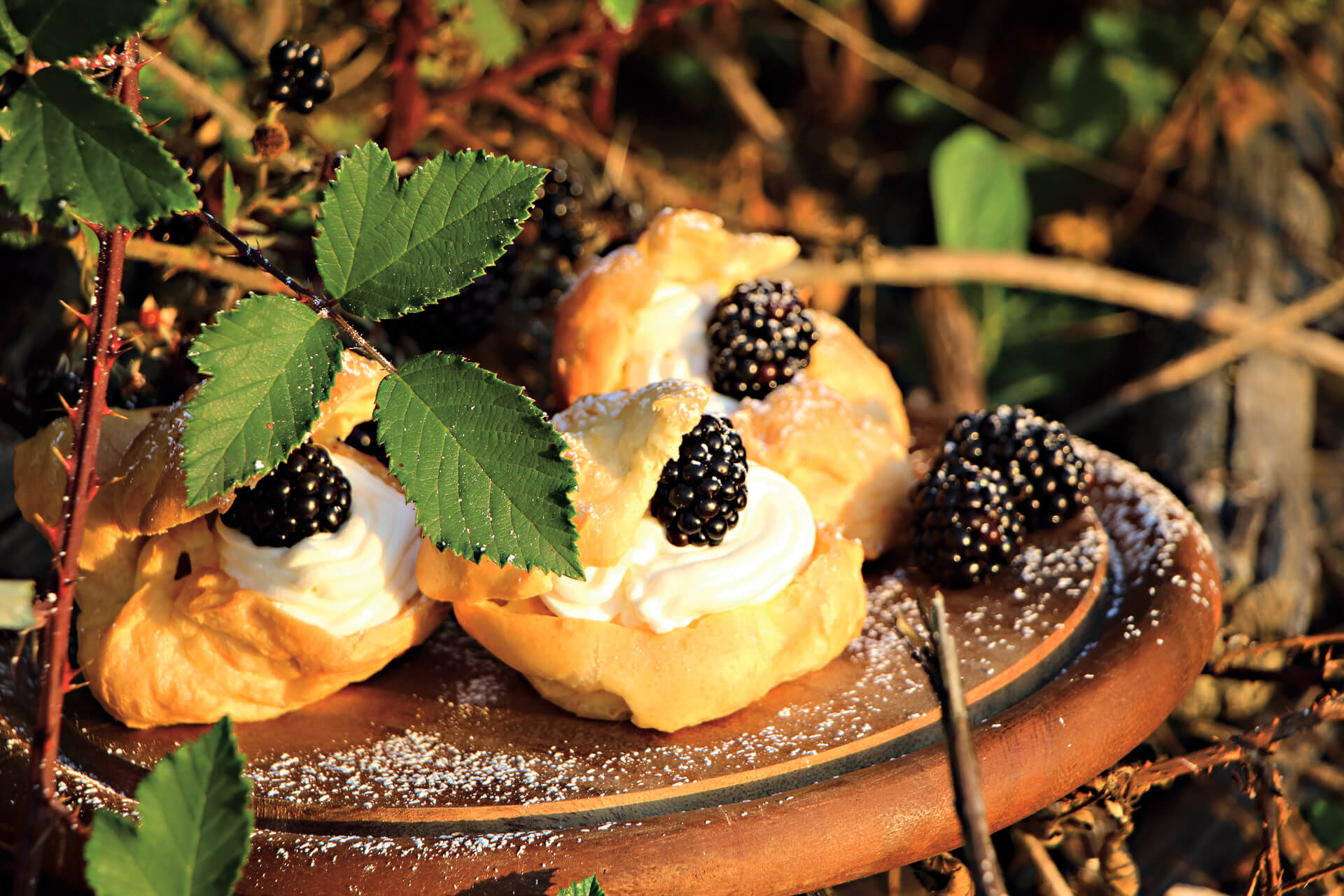 Chou à la crème fruits rouges