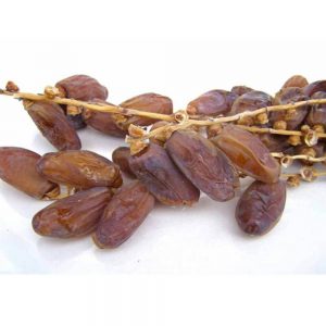 Datte branchee