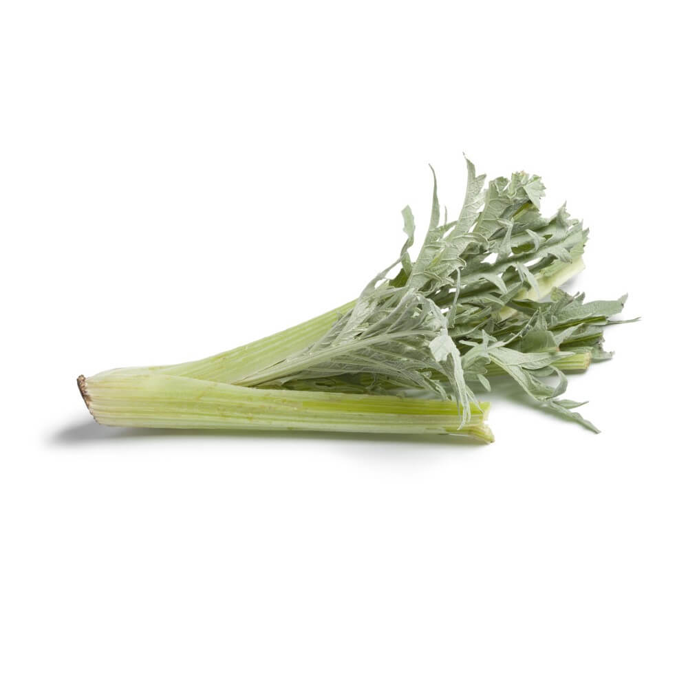 Cardon frais