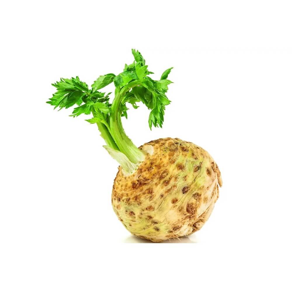 Céleri rave