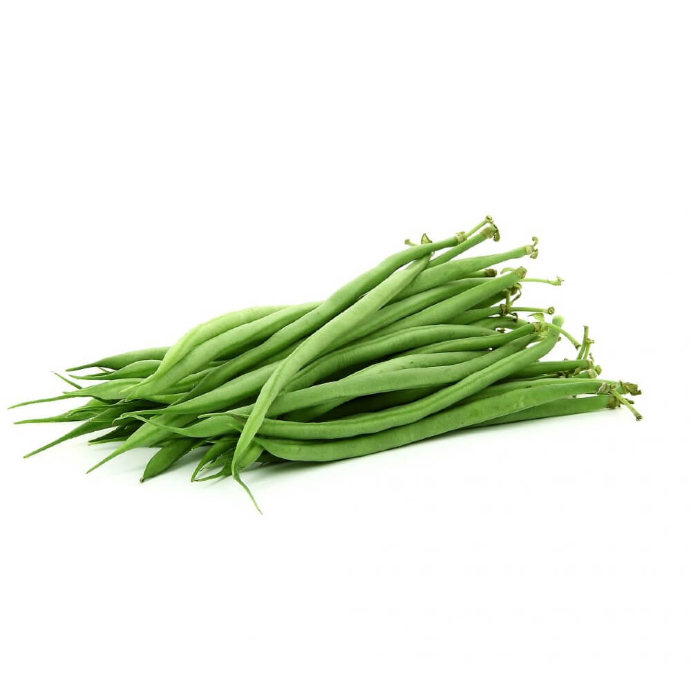 Haricot extra-fin
